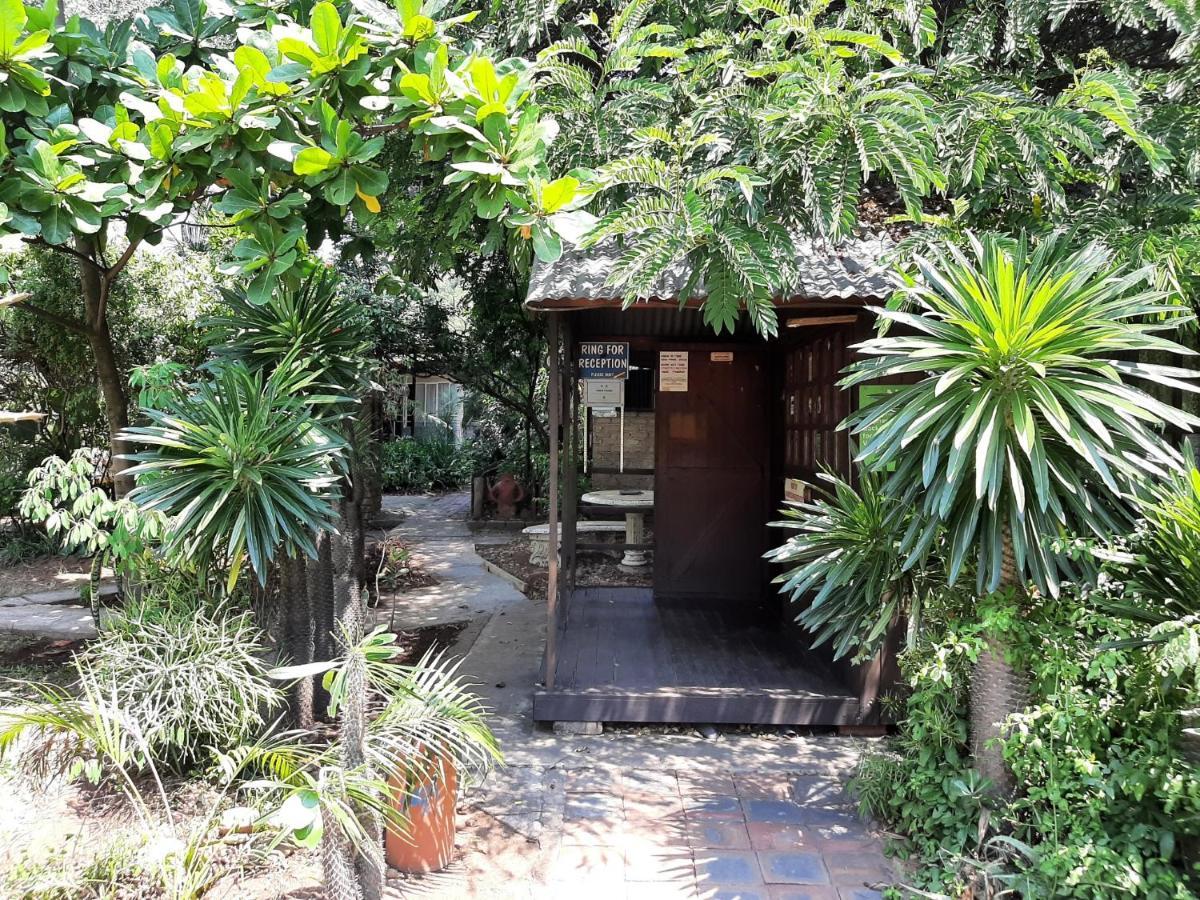 Elephant Walk Guesthouse And Back Packers Phalaborwa Luaran gambar