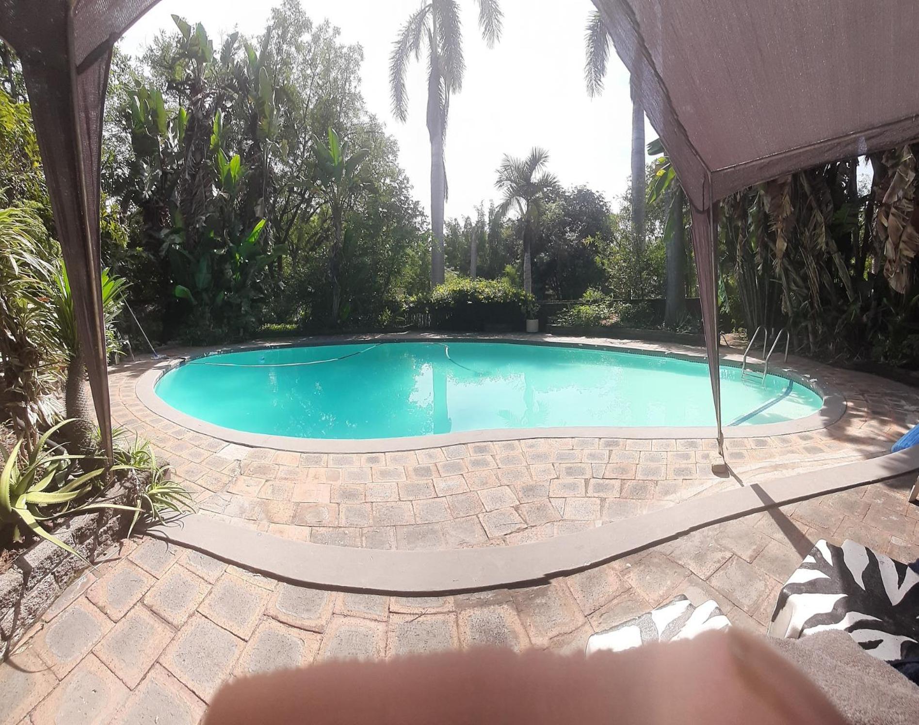 Elephant Walk Guesthouse And Back Packers Phalaborwa Luaran gambar