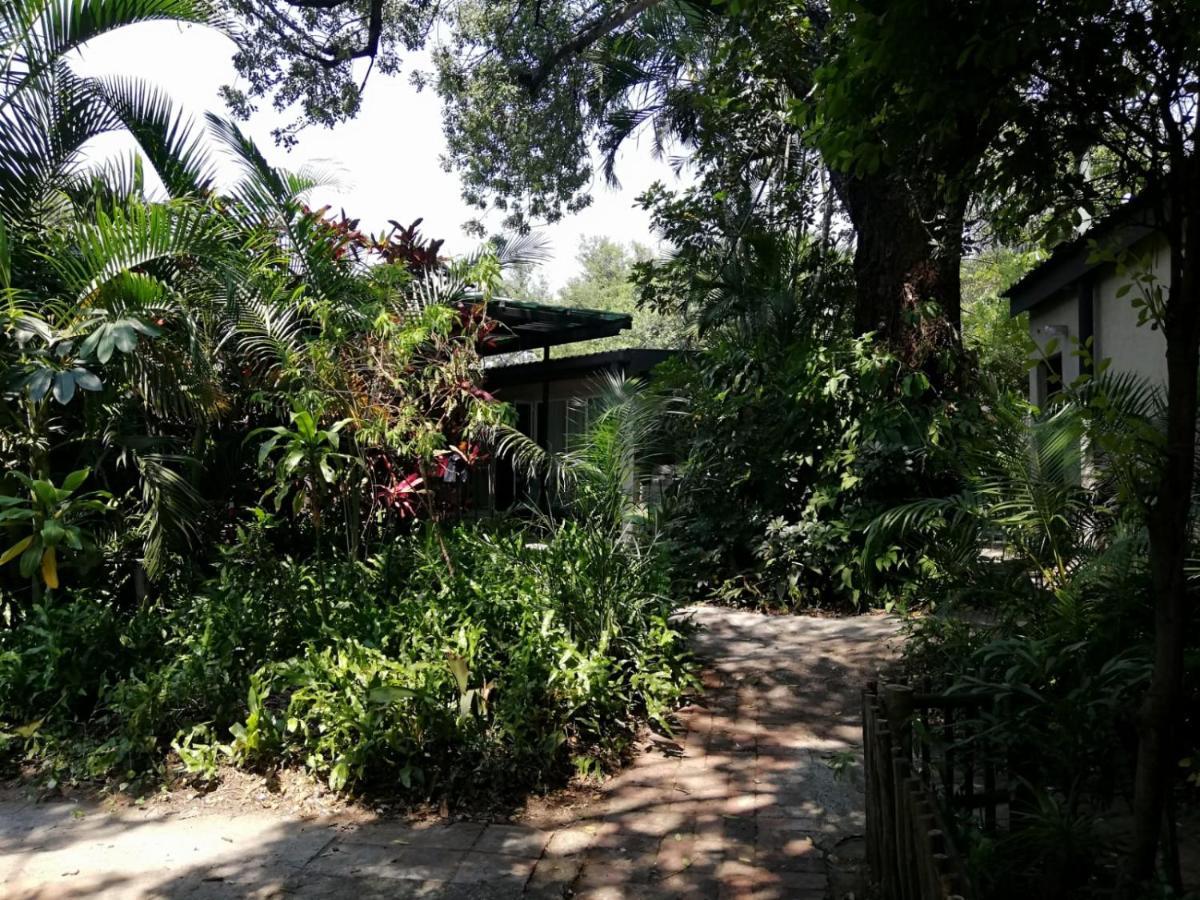 Elephant Walk Guesthouse And Back Packers Phalaborwa Luaran gambar