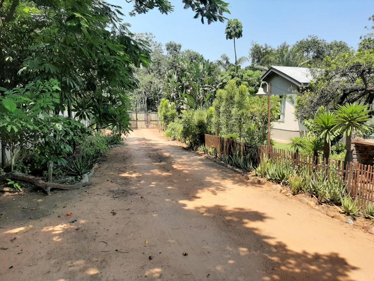 Elephant Walk Guesthouse And Back Packers Phalaborwa Luaran gambar